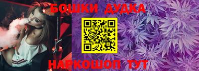 шишки Кингисепп