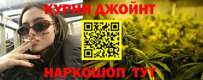шишки Кингисепп