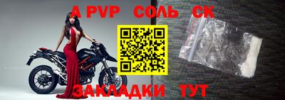 шишки Кингисепп