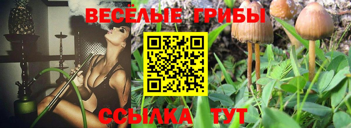 Псилоцибиновые грибы MAGIC MUSHROOMS Долгопрудный