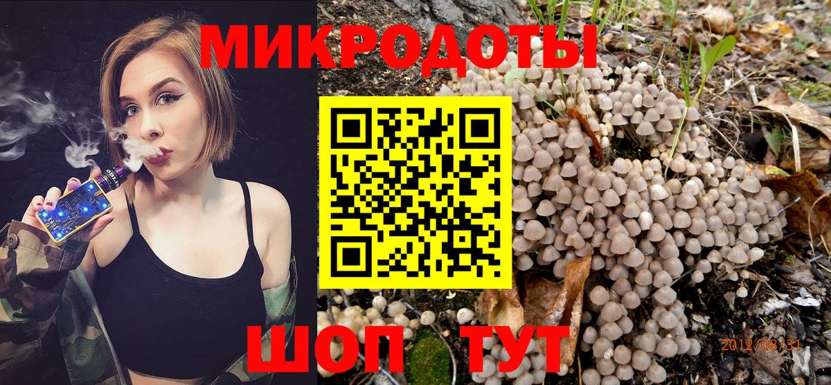 Псилоцибиновые грибы MAGIC MUSHROOMS  Вход с VPN  Долгопрудный 